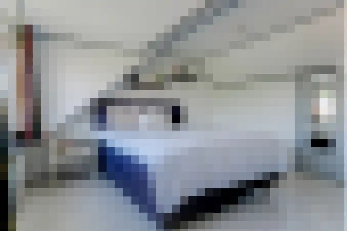 Golden Deliciouslaan 17 Blokker thumbnail 39