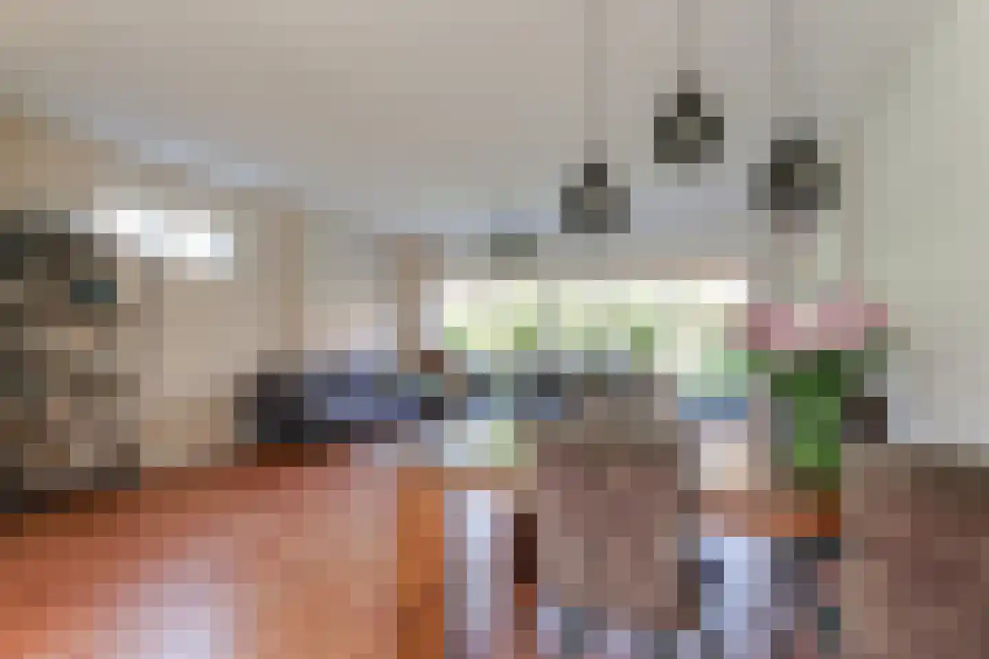 Golden Deliciouslaan 17 Blokker thumbnail 4