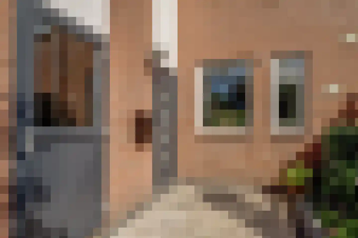 Golden Deliciouslaan 17 Blokker thumbnail 44
