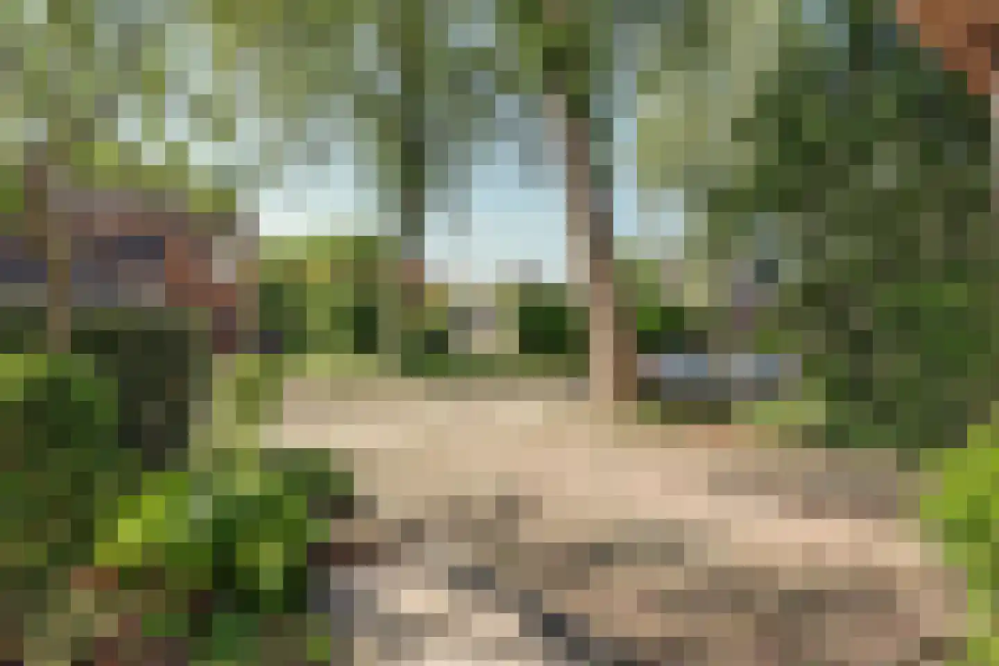 Golden Deliciouslaan 17 Blokker thumbnail 46