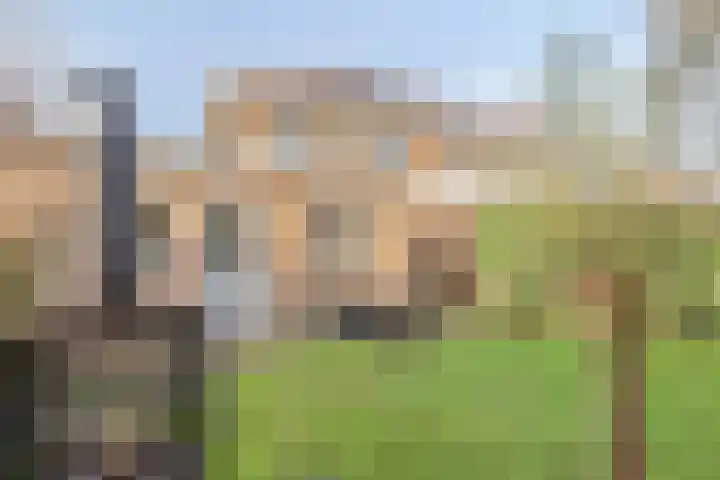 Golden Deliciousstraat 40 Nijmegen thumbnail 37