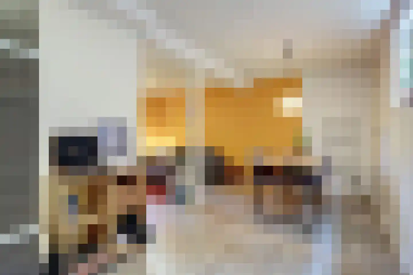 Goldenbeltstraatje 3 A Deventer thumbnail 7