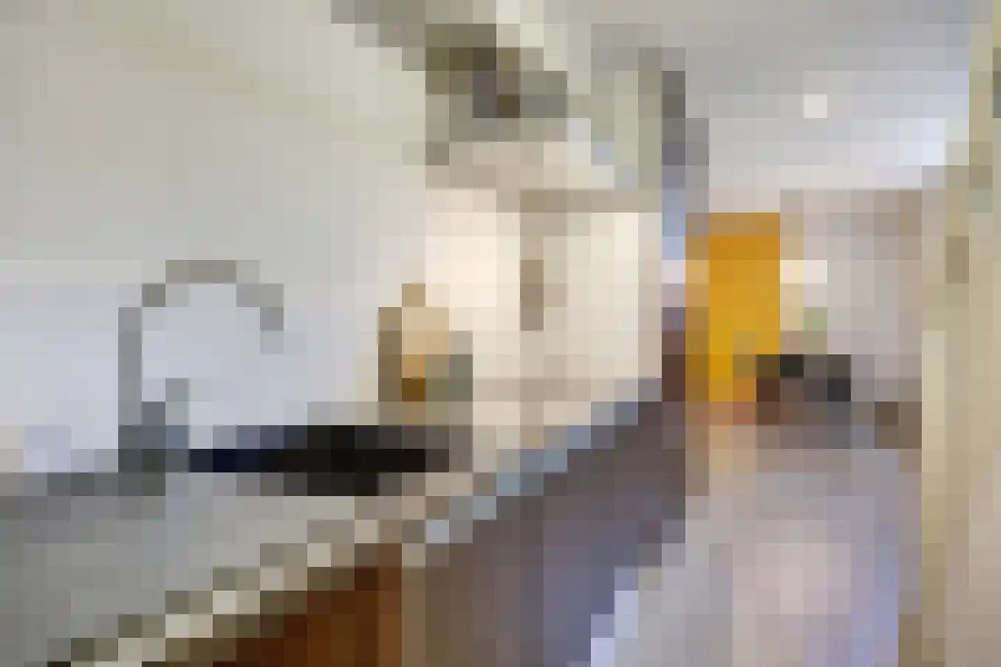 Goldenbeltstraatje 3 A Deventer thumbnail 9