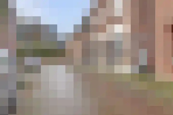 Goldenbeltstraatje 3 Deventer thumbnail 17