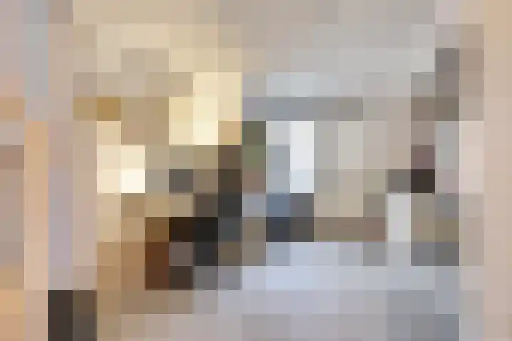 Goldenbeltstraatje 3 Deventer thumbnail 5