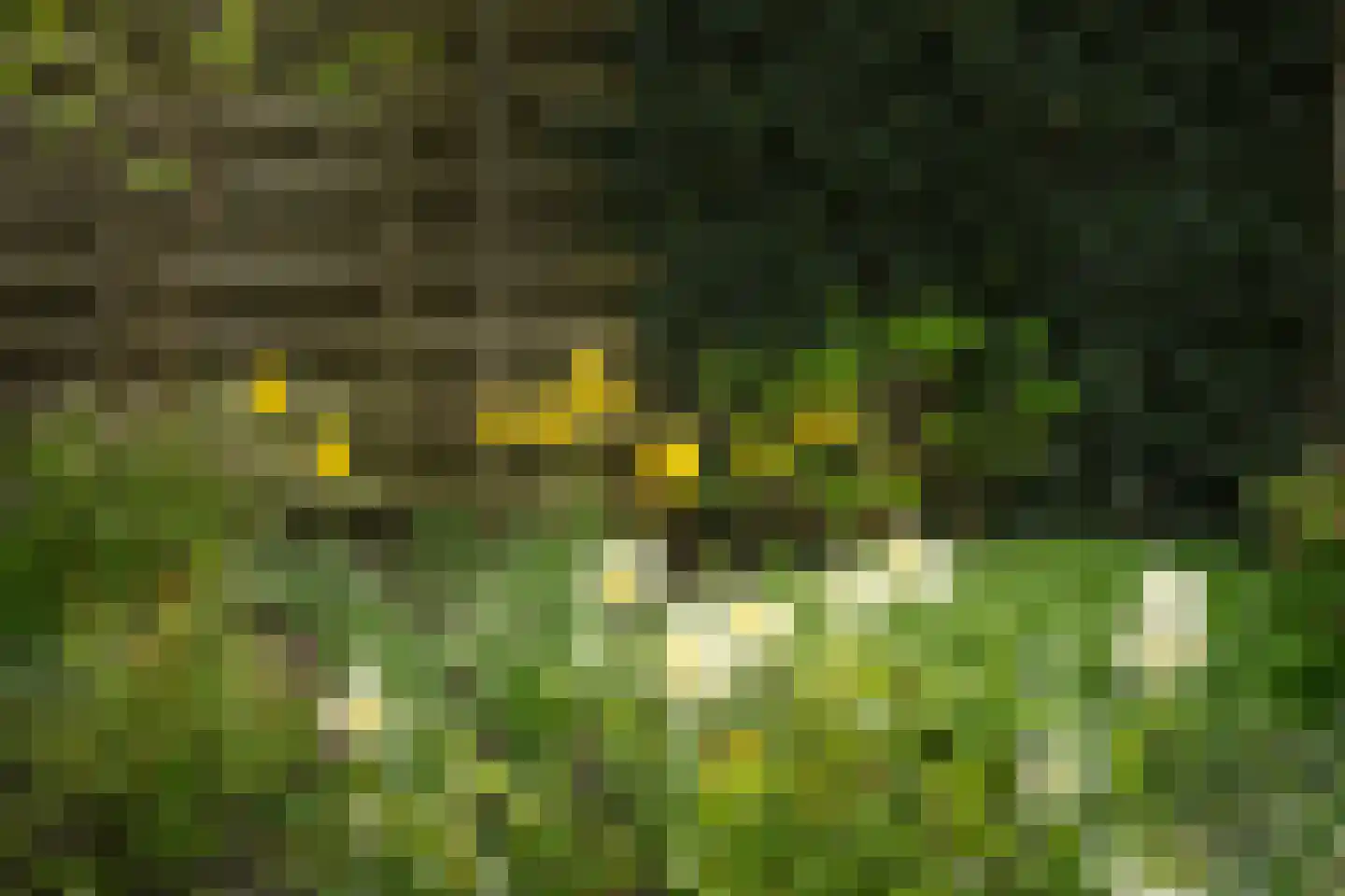 Goldenbeltstraatje 5 Deventer thumbnail 19