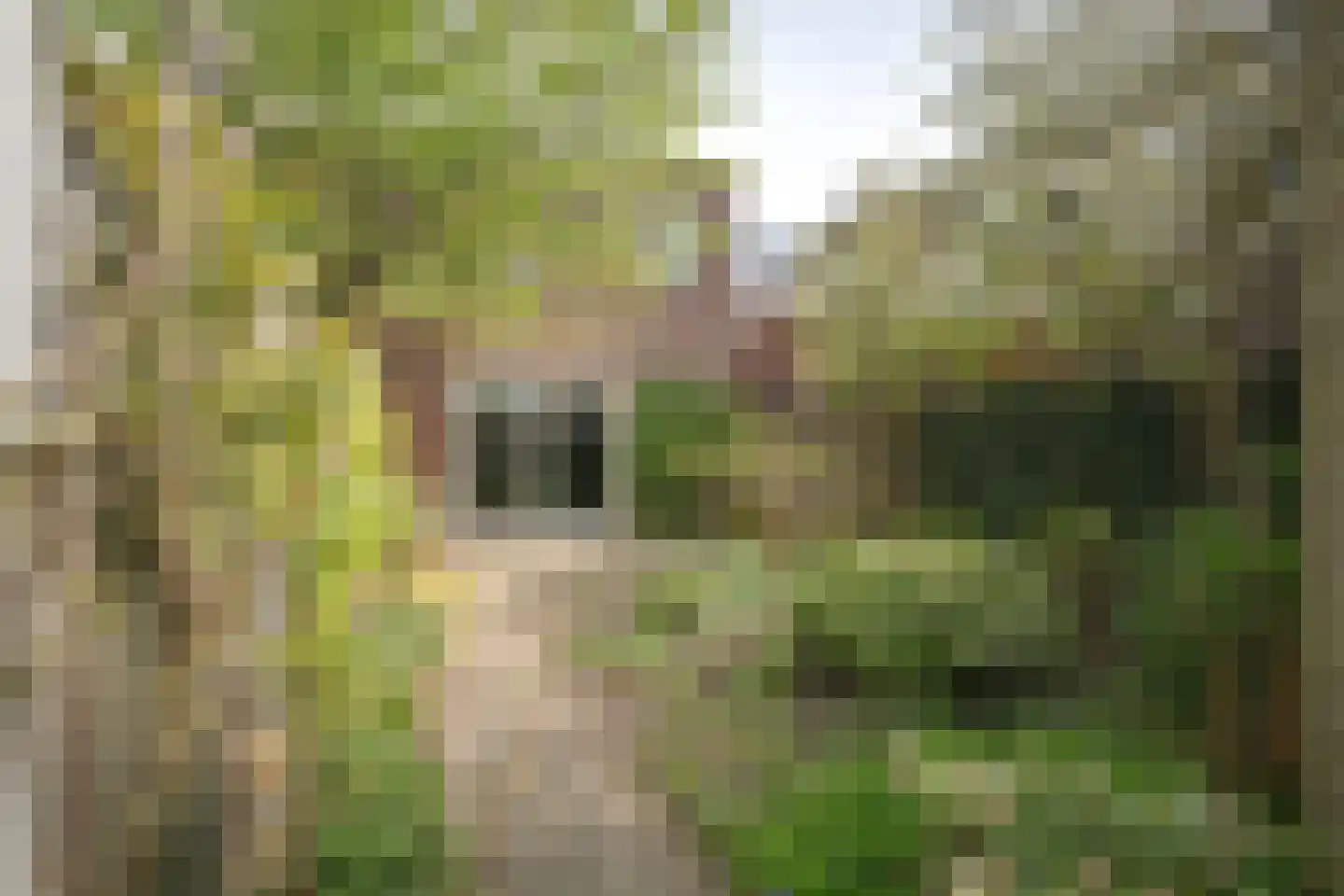 Goldenbeltstraatje 5 Deventer thumbnail 22