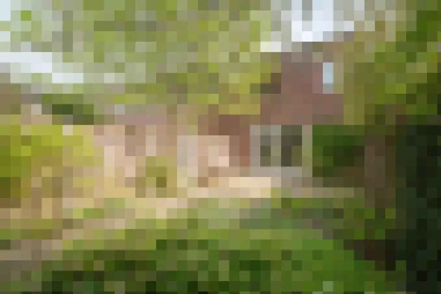 Goldenbeltstraatje 5 Deventer thumbnail 36