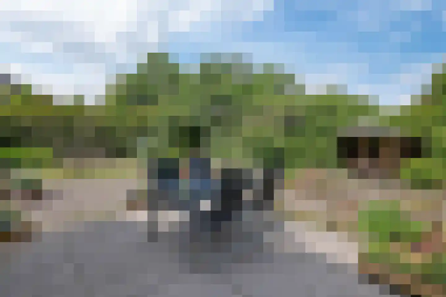 Goldhoorn 13 Oostwold thumbnail 45
