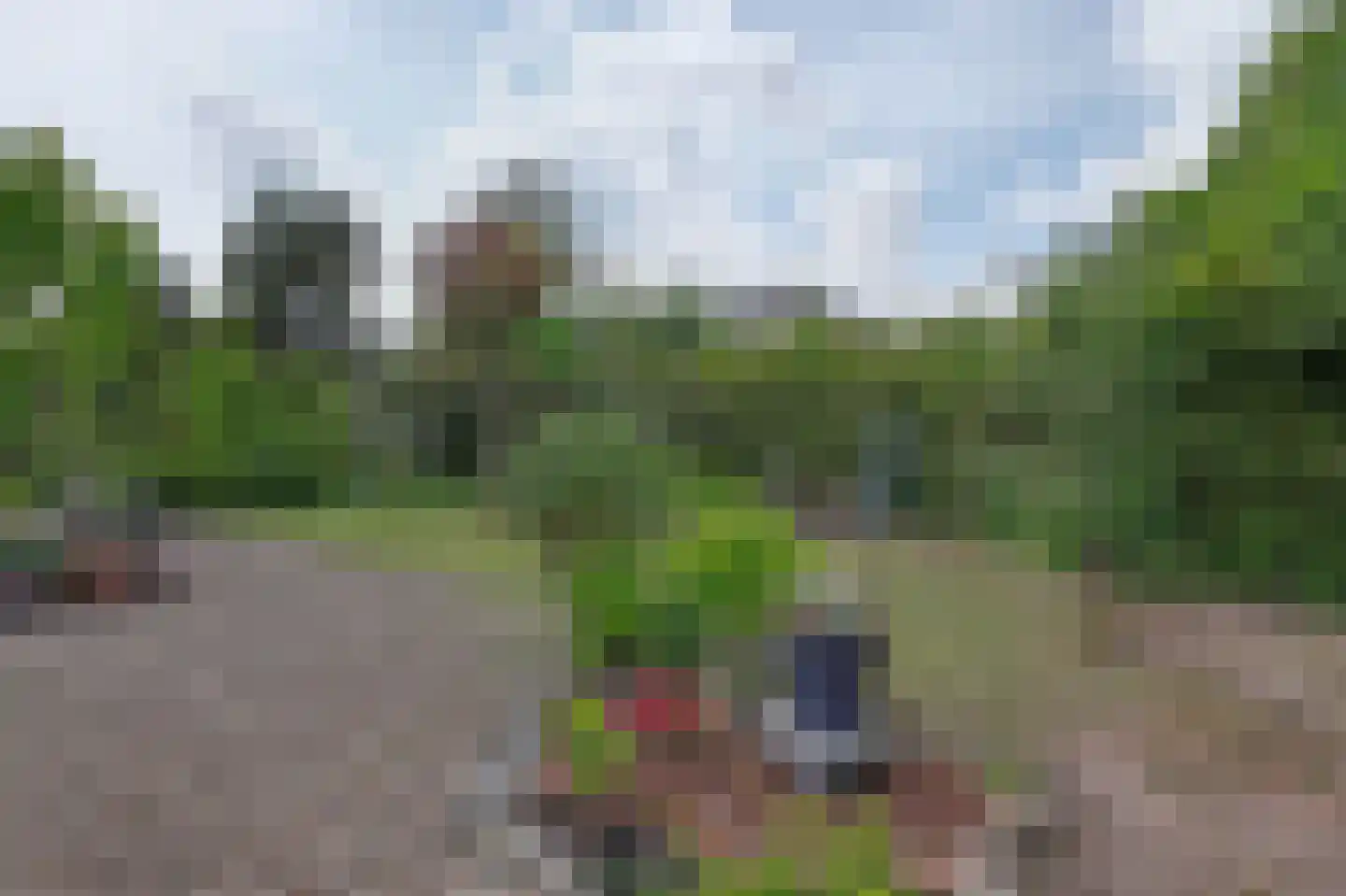 Goldhoorn 13 Oostwold thumbnail 48