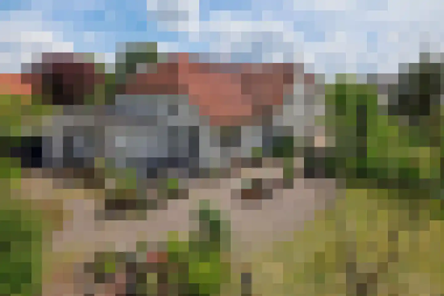 Goldhoorn 13 Oostwold thumbnail 49