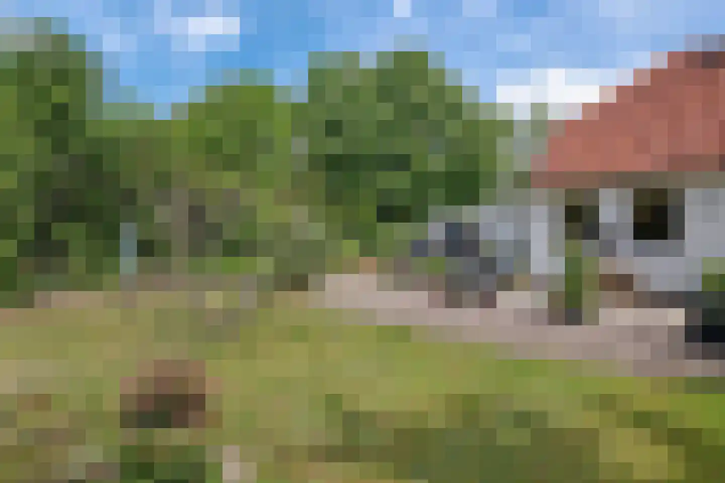 Goldhoorn 13 Oostwold thumbnail 50