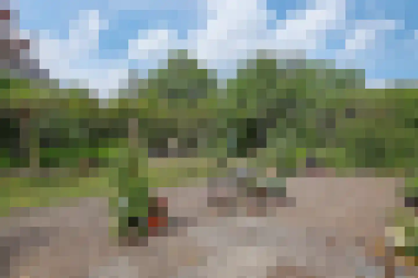 Goldhoorn 13 Oostwold thumbnail 51