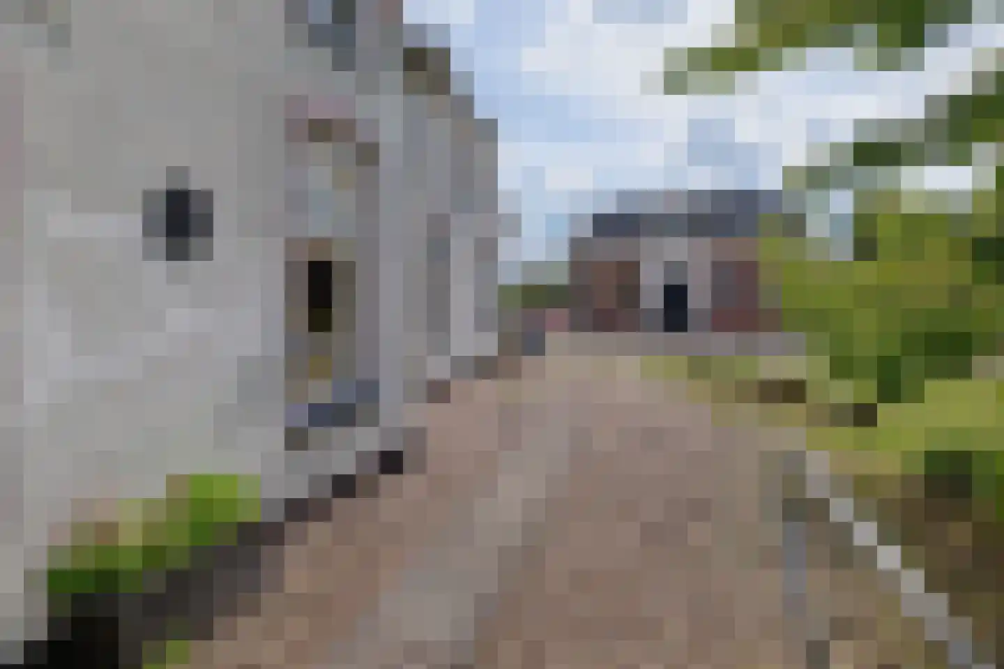 Goldhoorn 13 Oostwold thumbnail 53