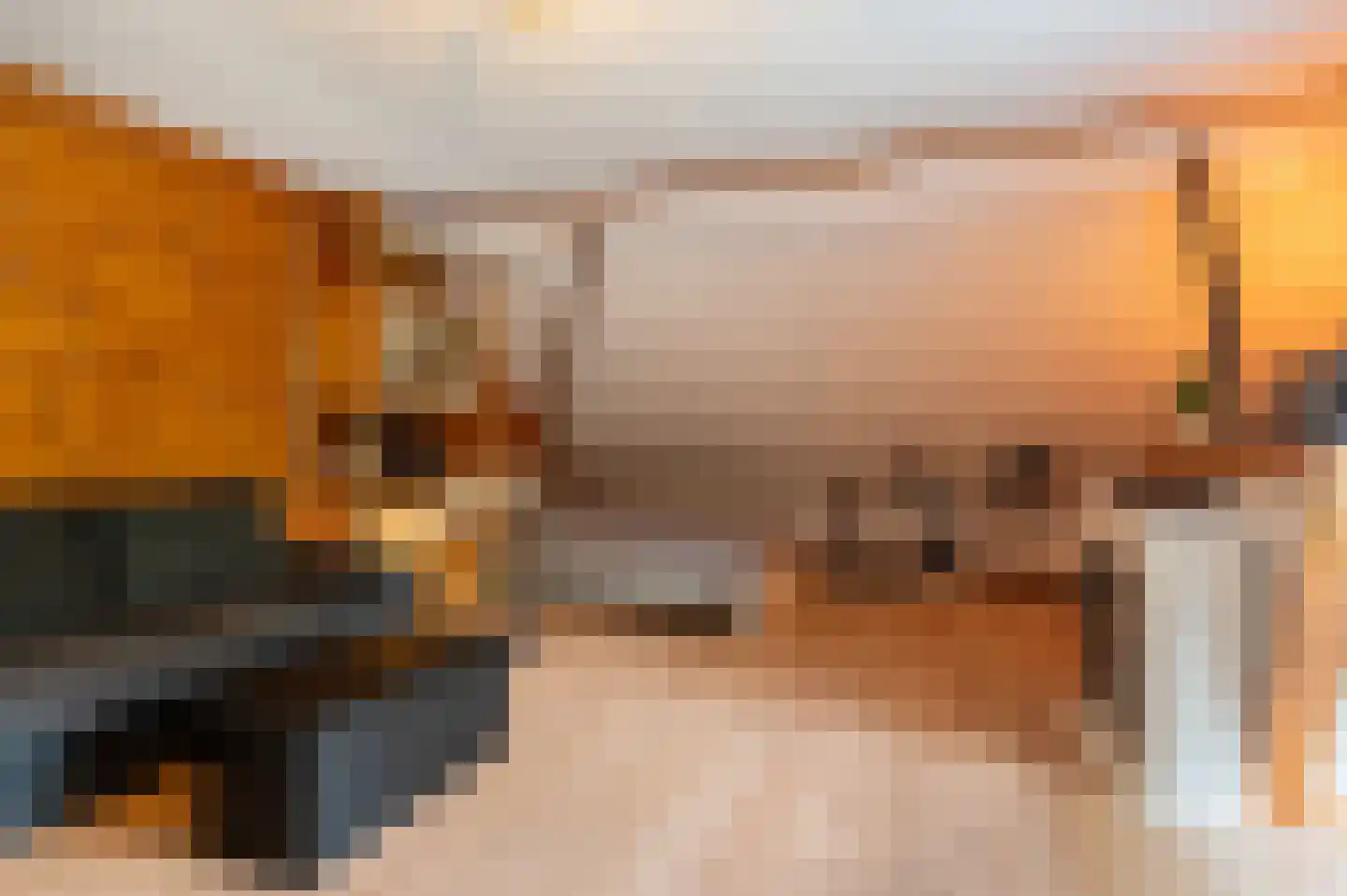 Goldhoorn 17 Finsterwolde thumbnail 44