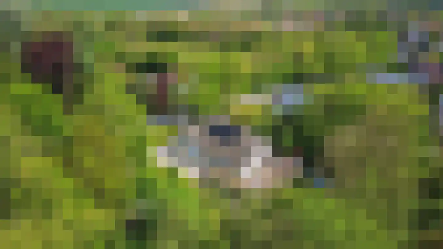 Goldhoorn 17 Finsterwolde thumbnail 5