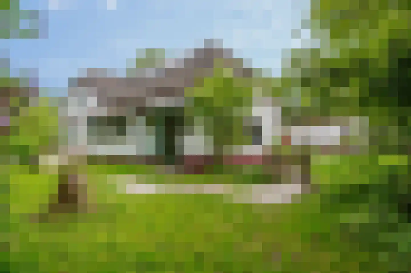 Goldhoorn 17 Finsterwolde thumbnail 54