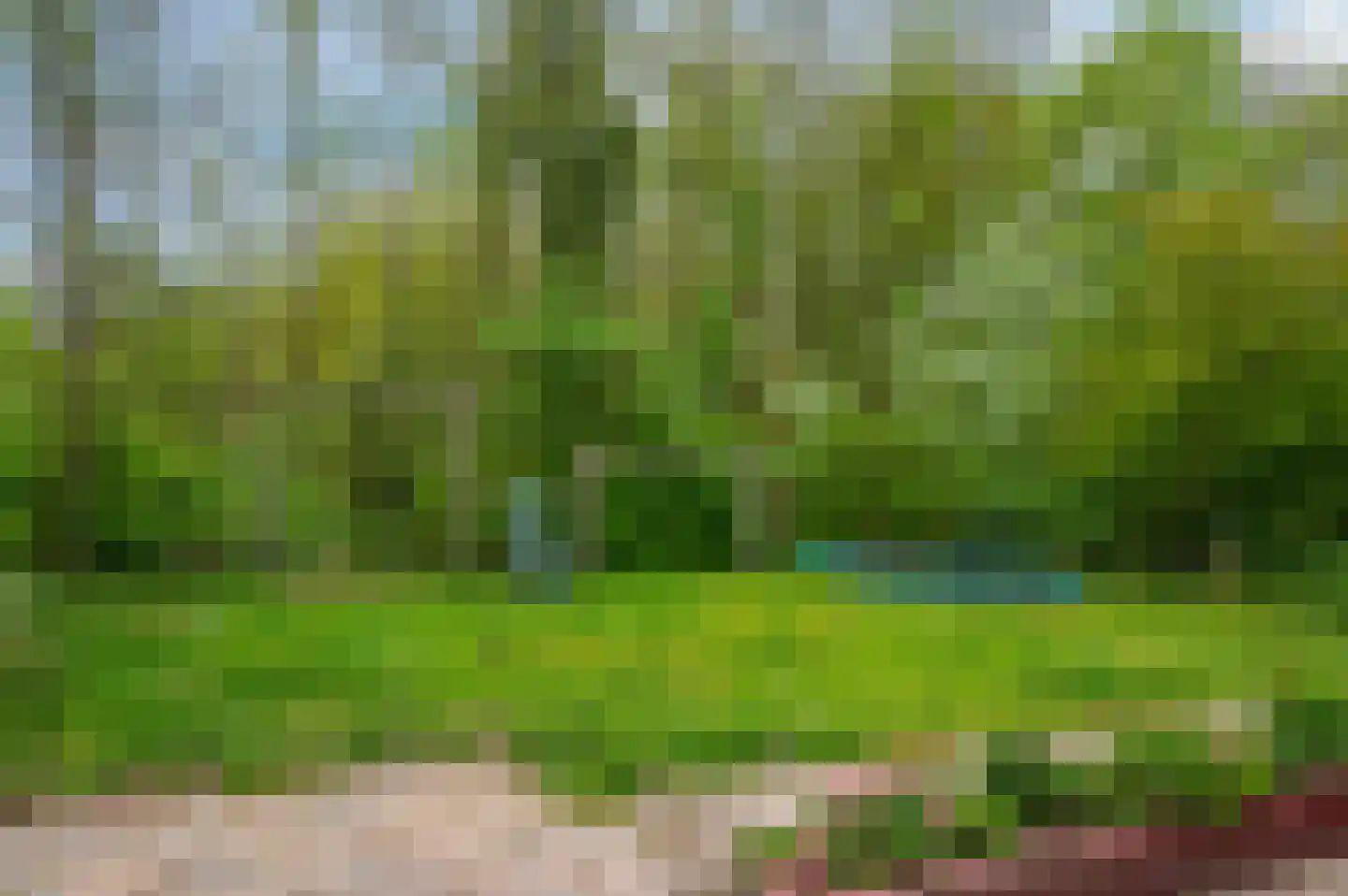 Goldhoorn 17 Finsterwolde thumbnail 60