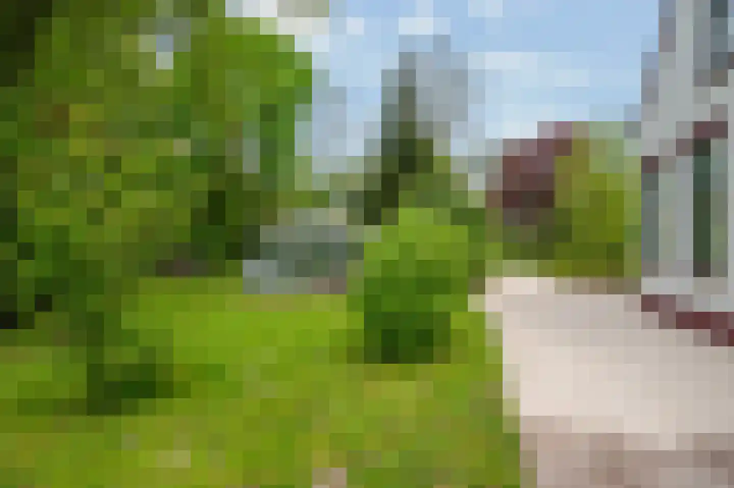 Goldhoorn 17 Finsterwolde thumbnail 63