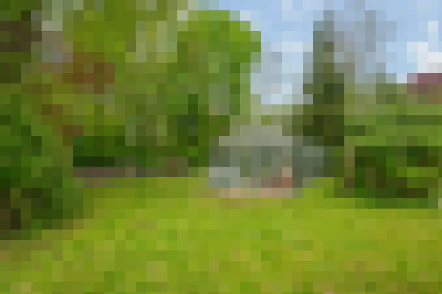 Goldhoorn 17 Finsterwolde thumbnail 64