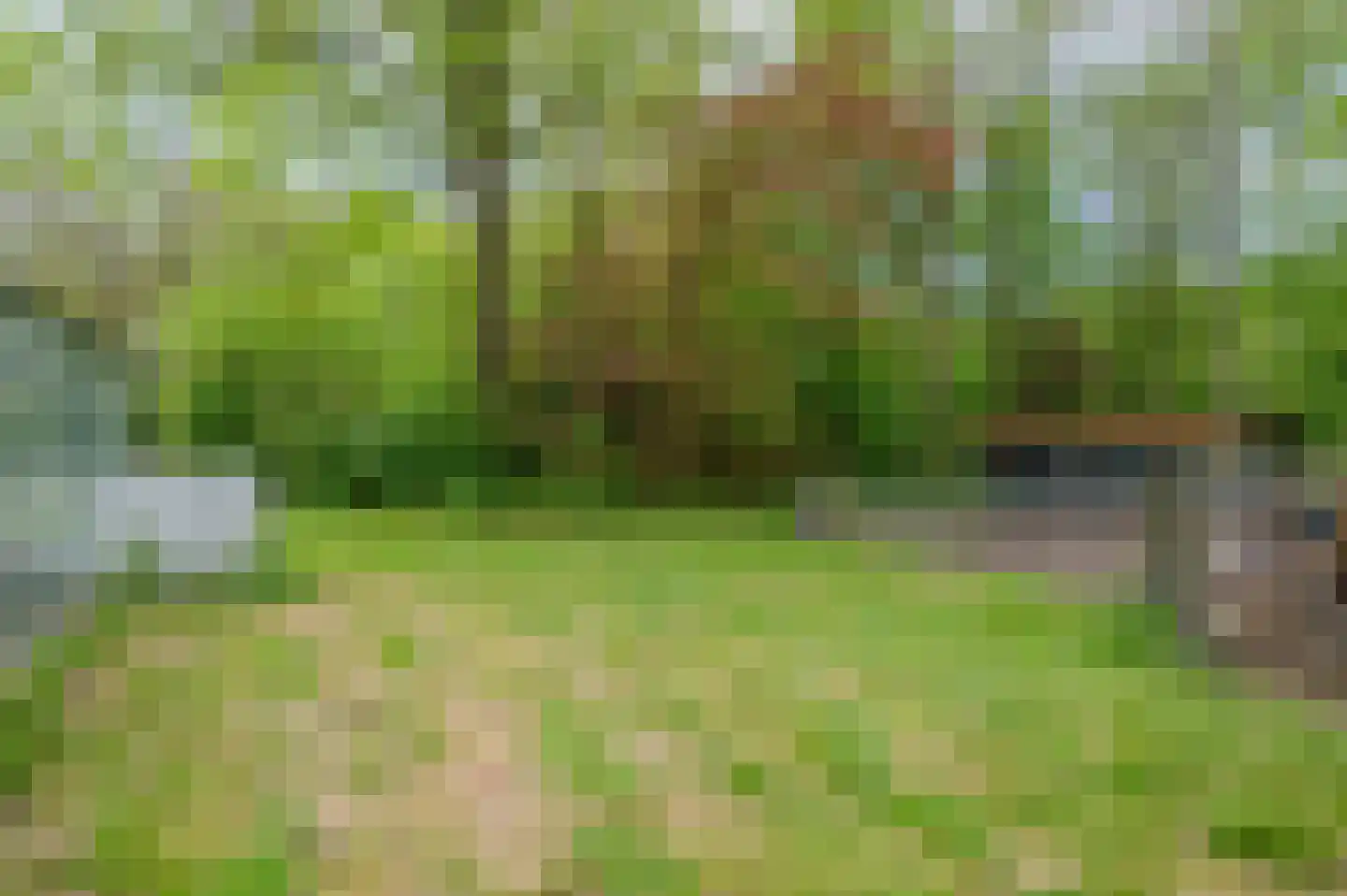 Goldhoorn 17 Finsterwolde thumbnail 66
