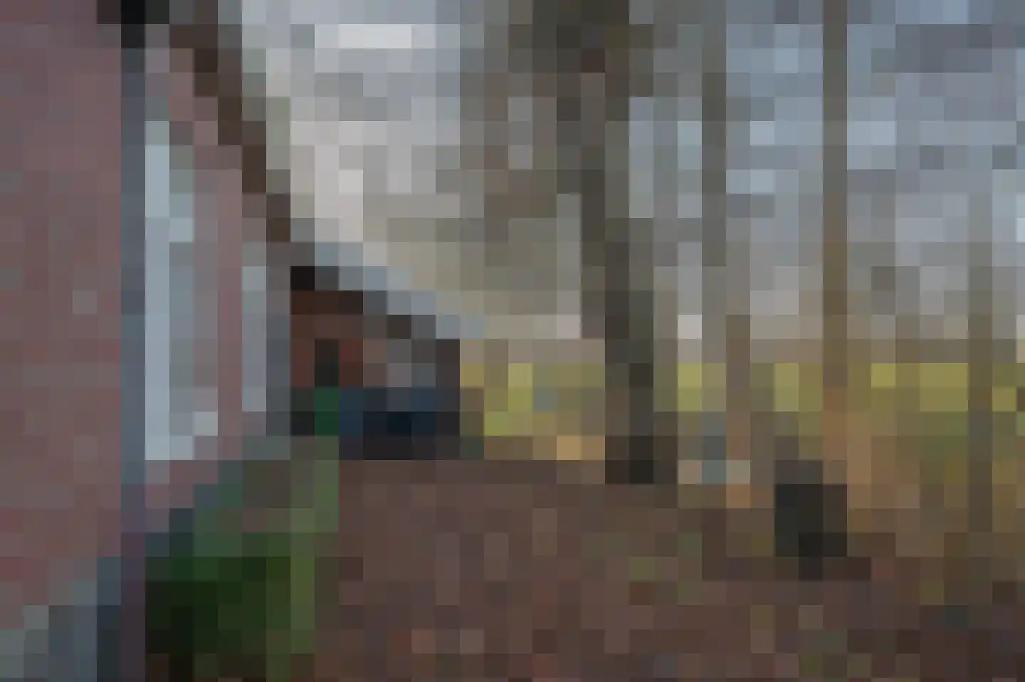 Goldhoorn 25 Finsterwolde thumbnail 48