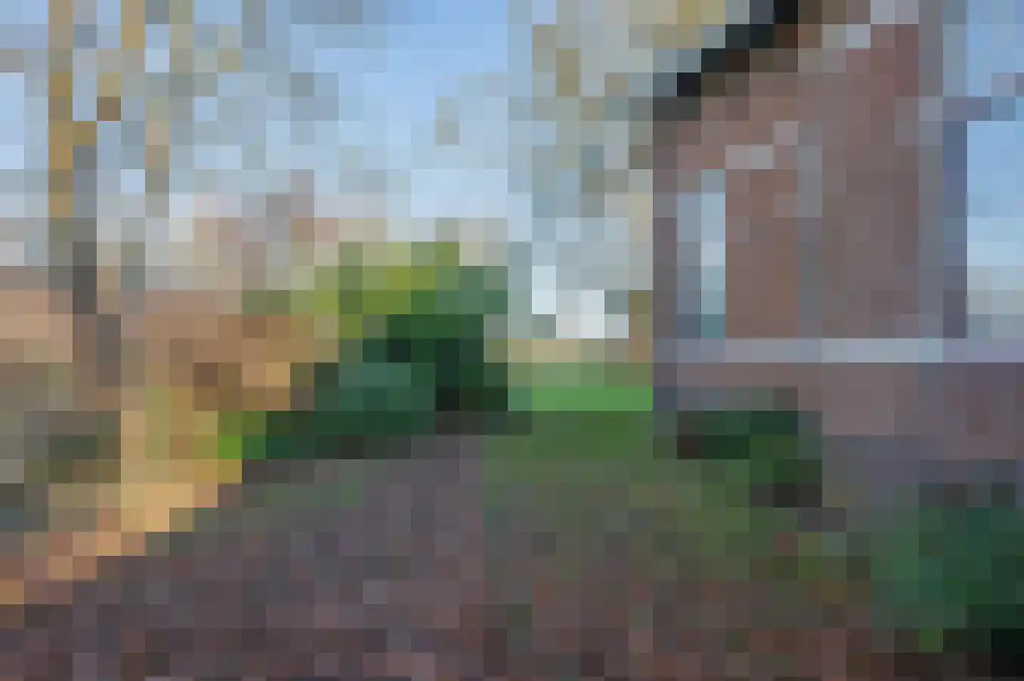 Goldhoorn 25 Finsterwolde thumbnail 49