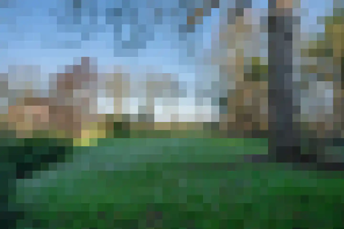 Goldhoorn 25 Finsterwolde thumbnail 50