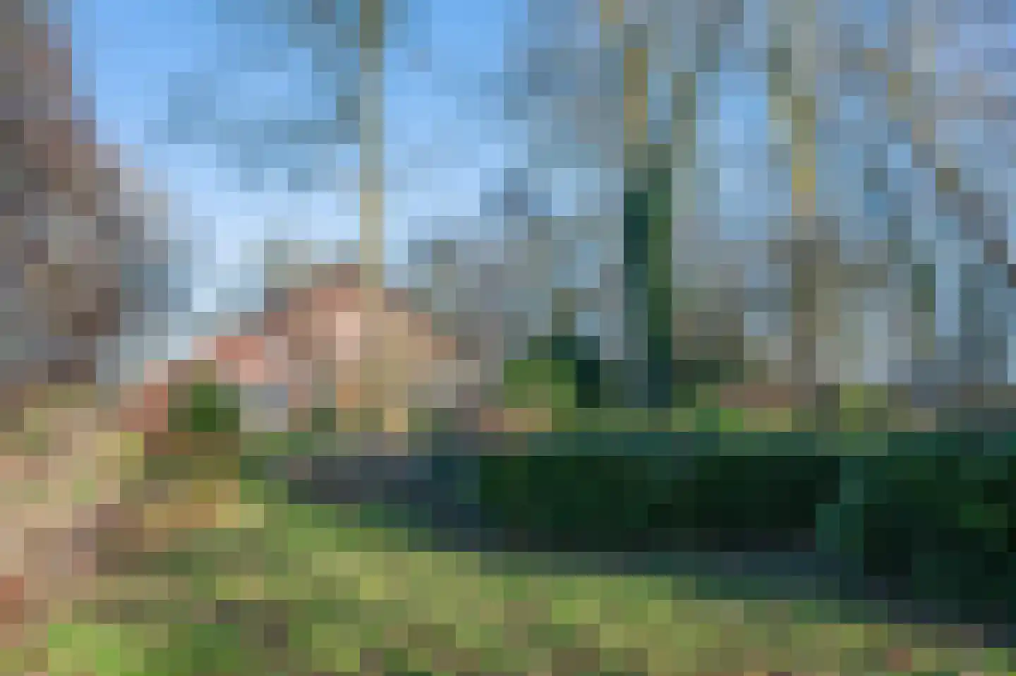 Goldhoorn 25 Finsterwolde thumbnail 57