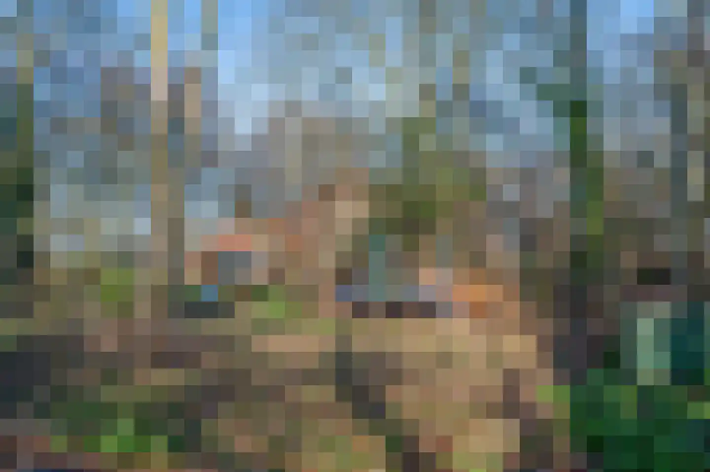 Goldhoorn 25 Finsterwolde thumbnail 58