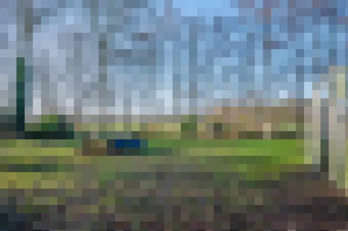 Goldhoorn 25 Finsterwolde thumbnail 59