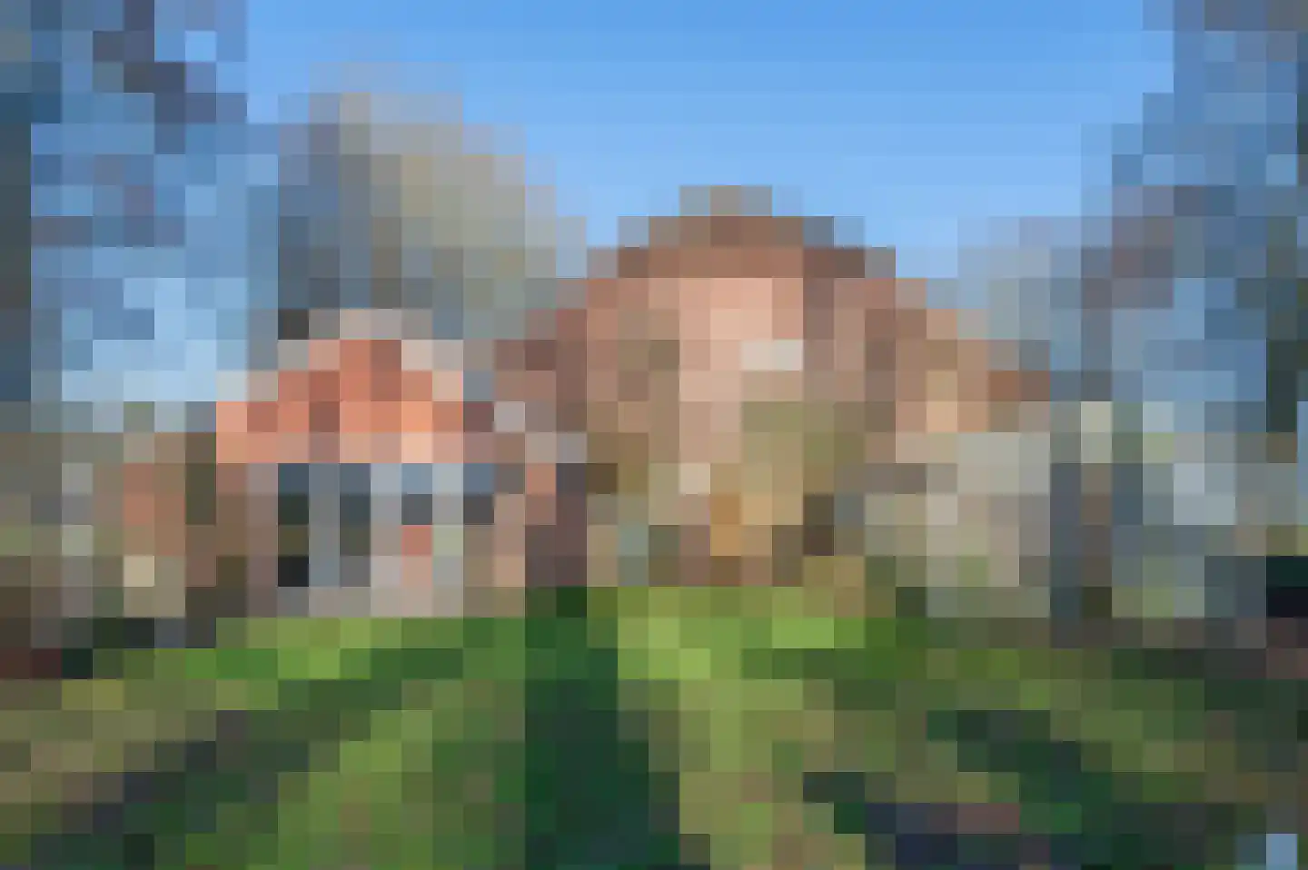 Goldhoorn 25 Finsterwolde thumbnail 6