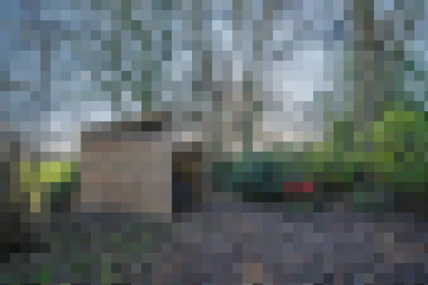 Goldhoorn 25 Finsterwolde thumbnail 60