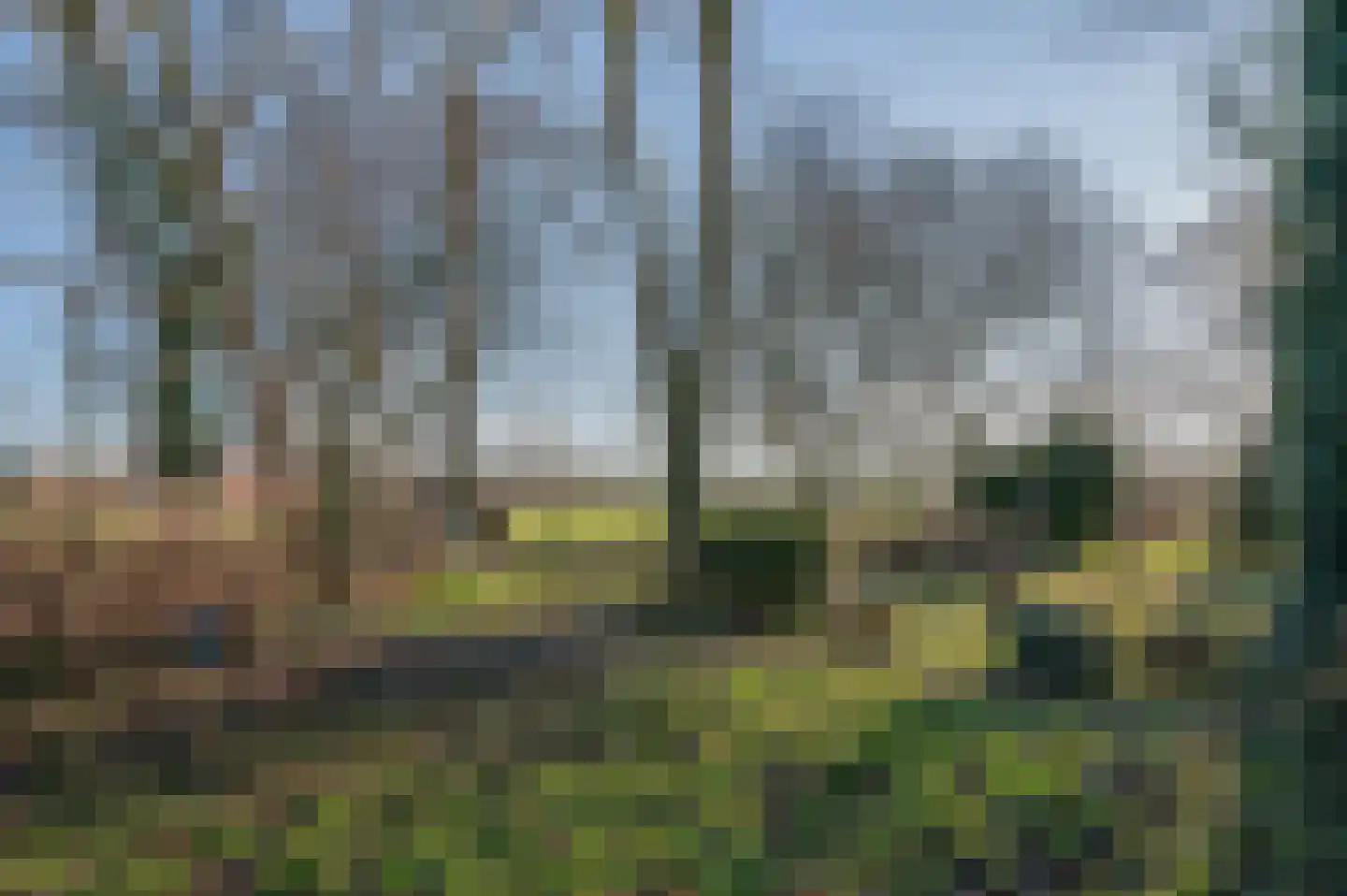 Goldhoorn 25 Finsterwolde thumbnail 61