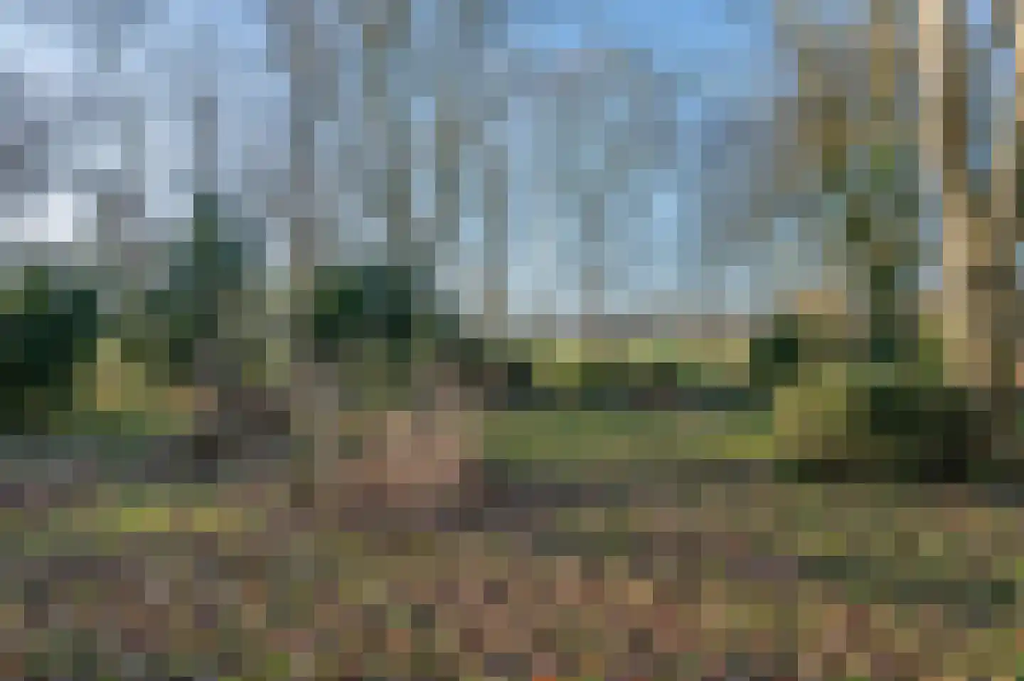 Goldhoorn 25 Finsterwolde thumbnail 62