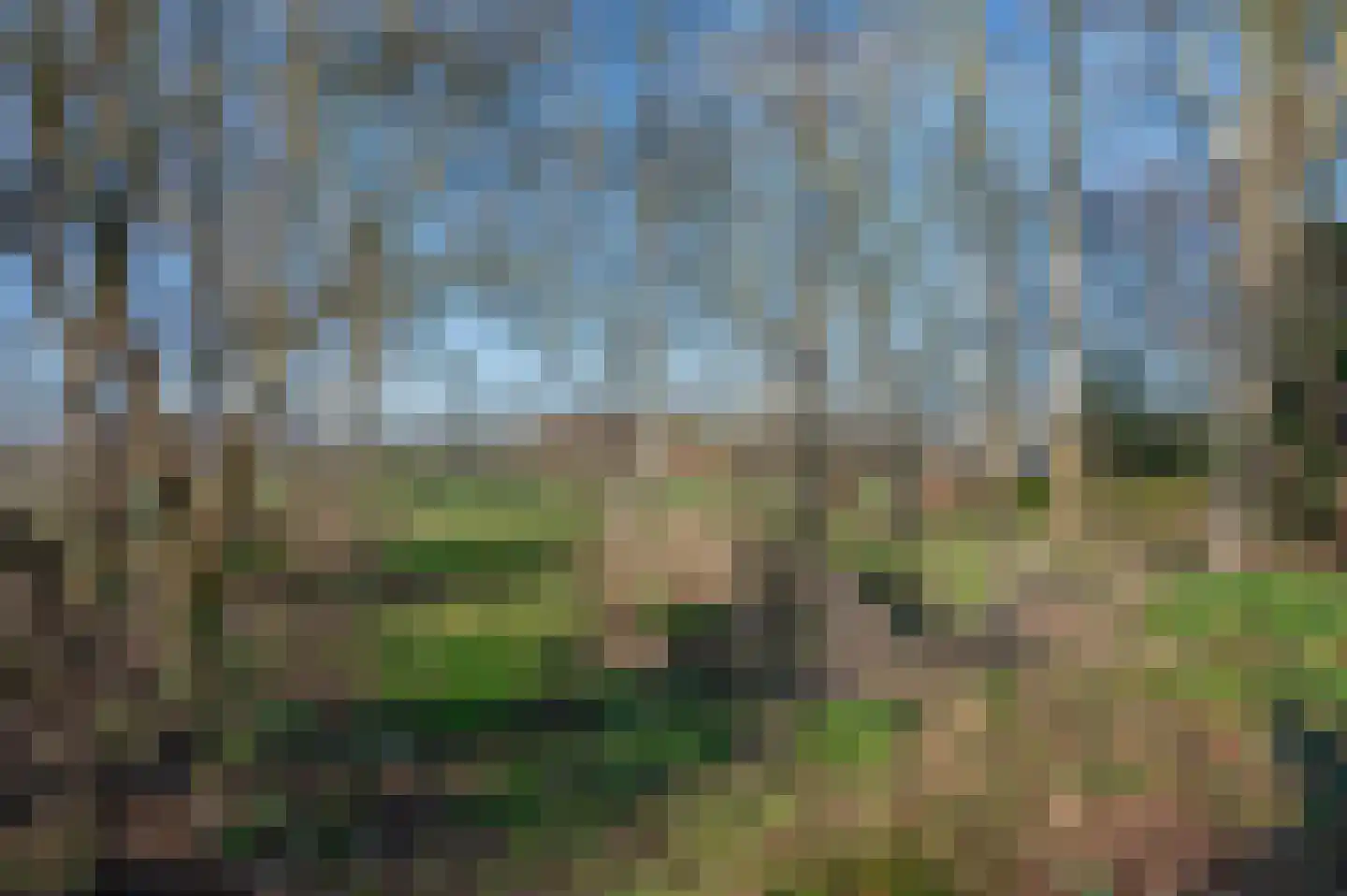 Goldhoorn 25 Finsterwolde thumbnail 63