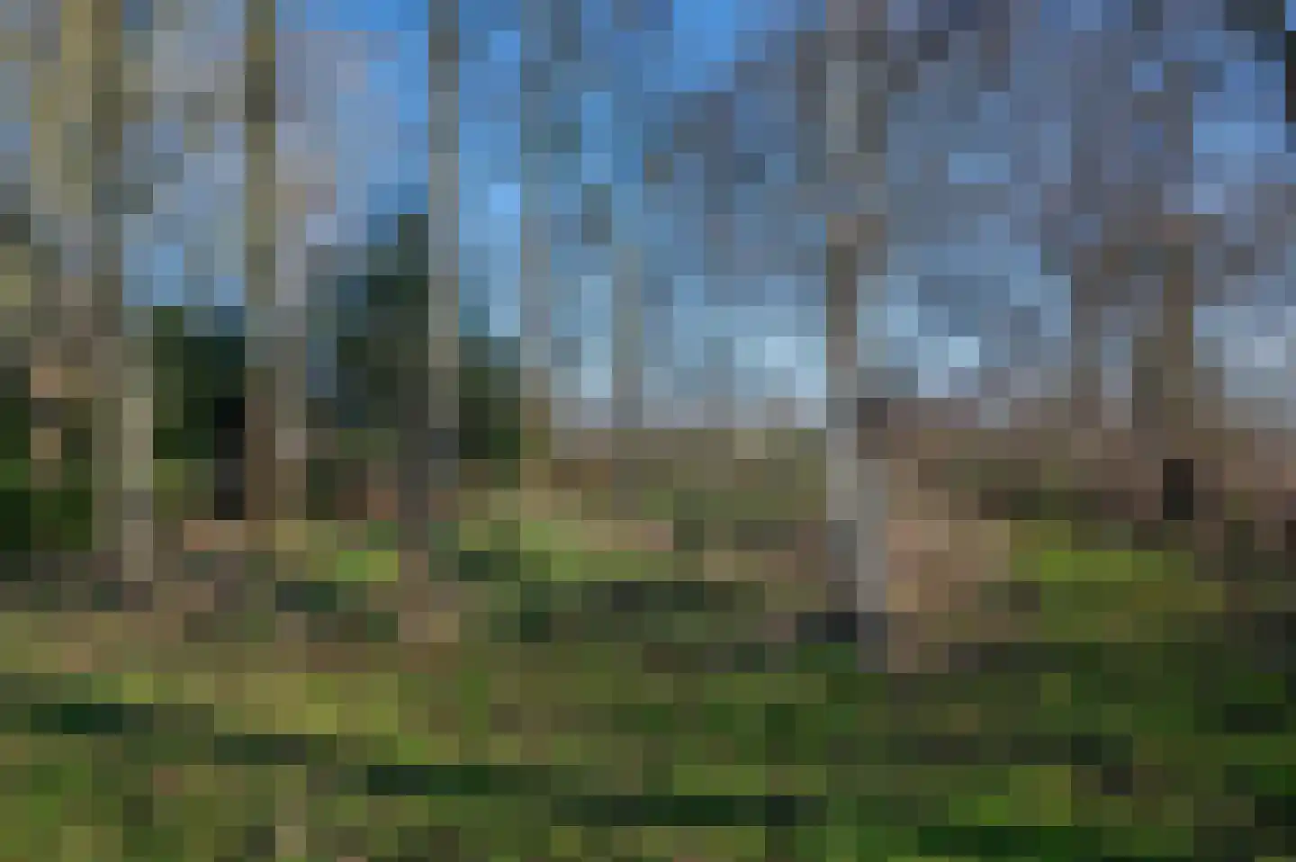 Goldhoorn 25 Finsterwolde thumbnail 64