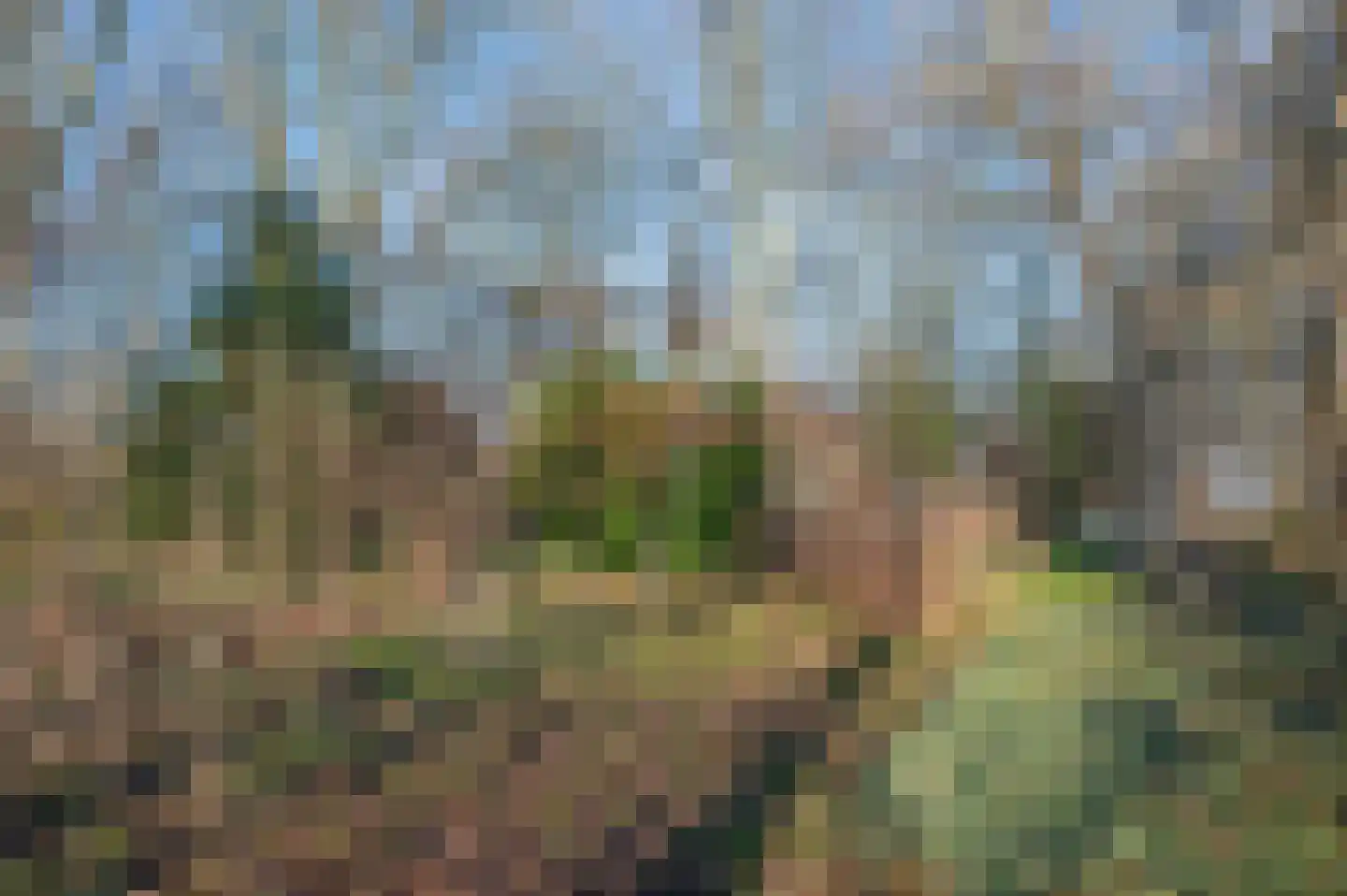 Goldhoorn 25 Finsterwolde thumbnail 65