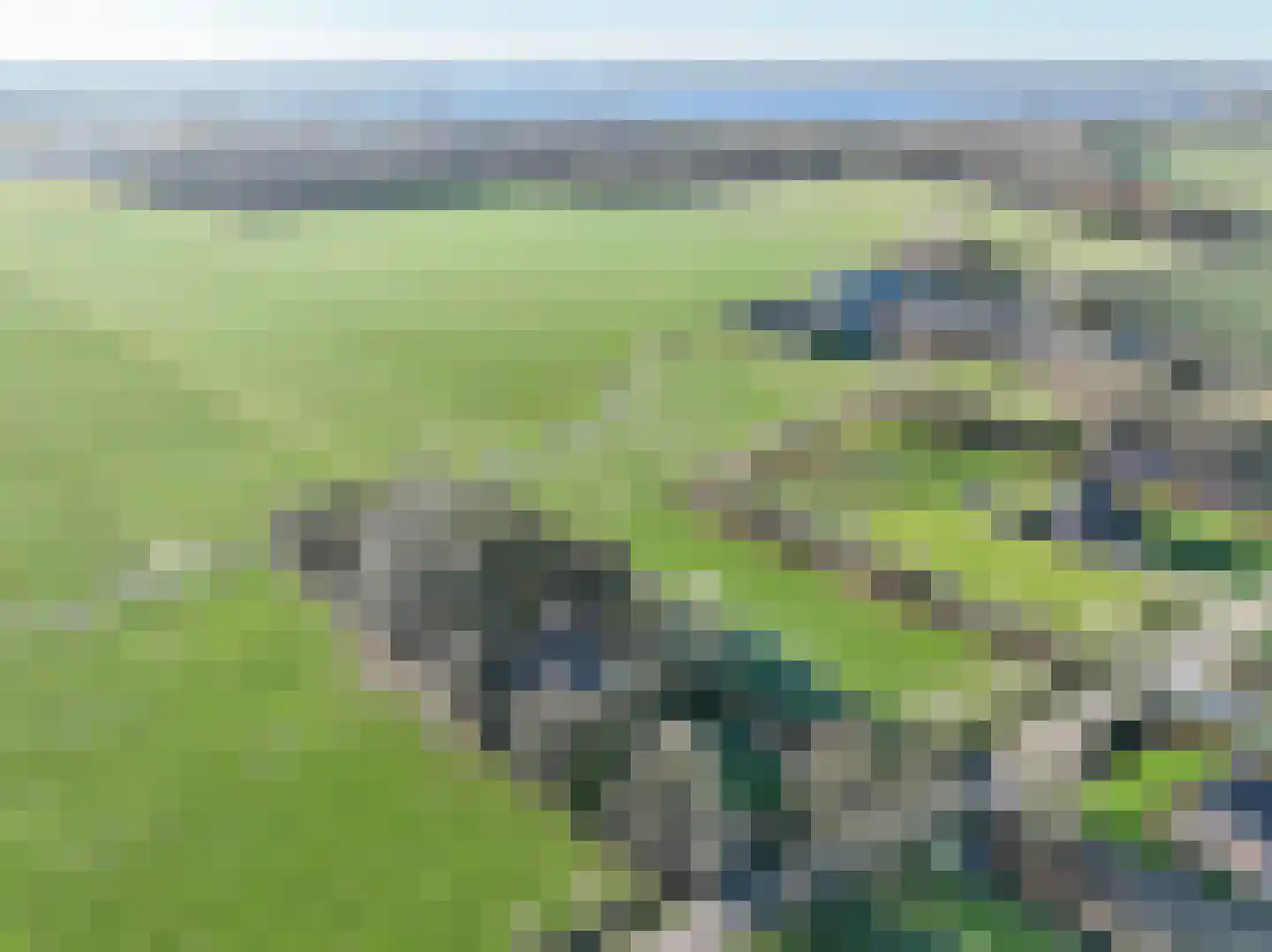 Goldhoorn 25 Finsterwolde thumbnail 69