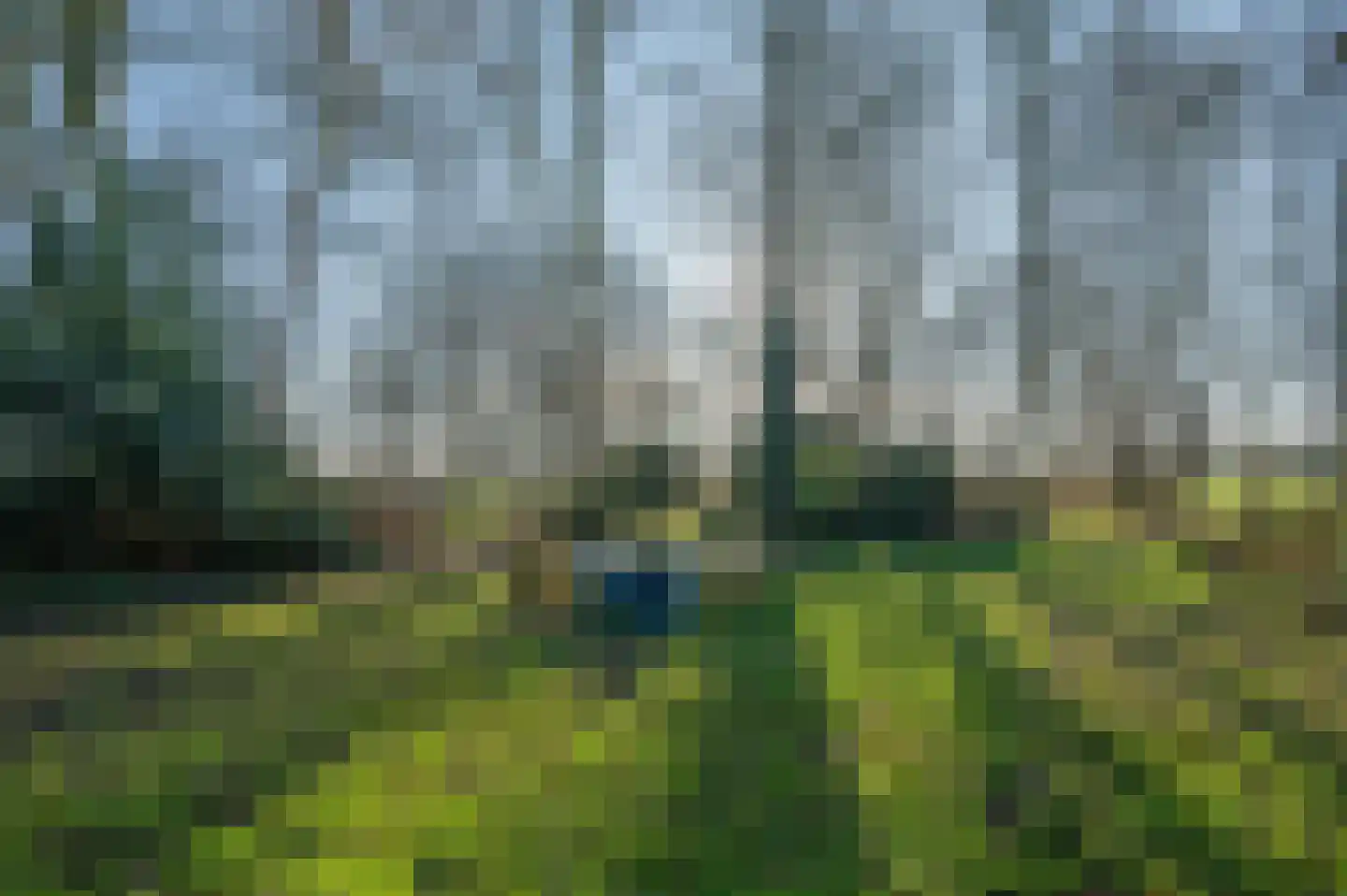 Goldhoorn 25 Finsterwolde thumbnail 7