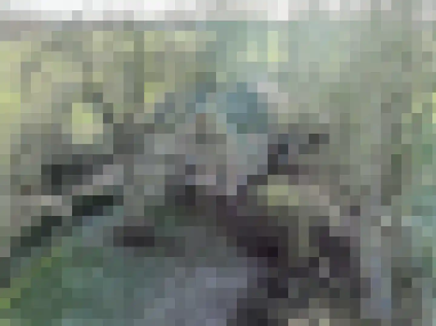 Goldhoorn 25 Finsterwolde thumbnail 8