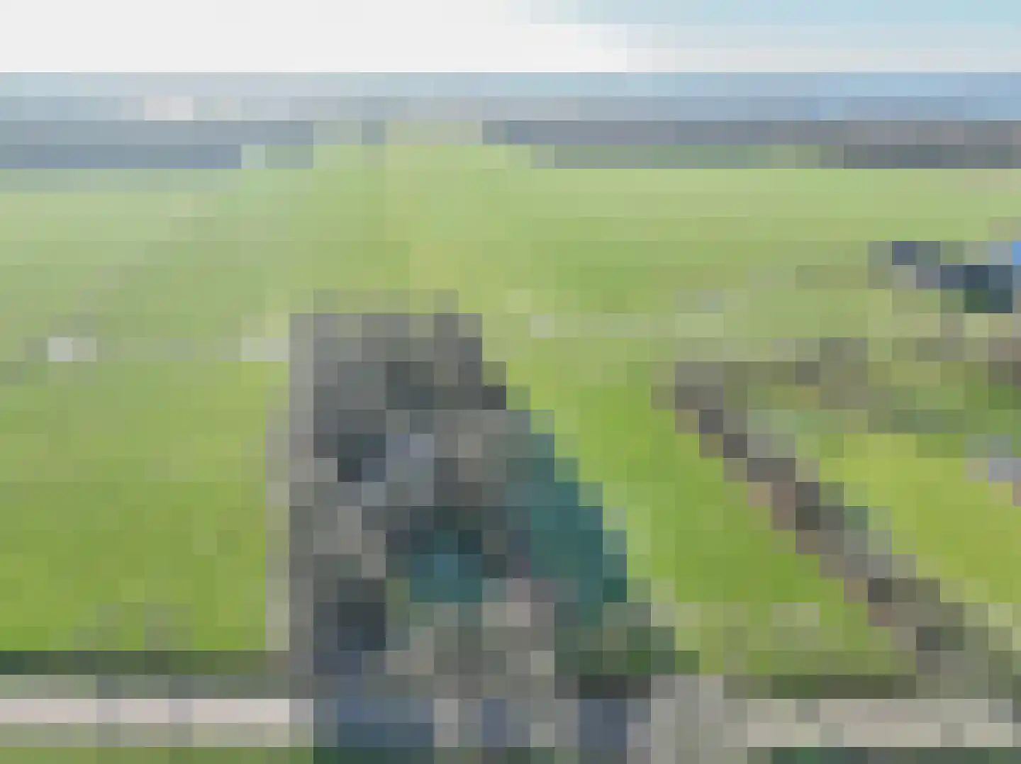 Goldhoorn 25 Finsterwolde thumbnail 9