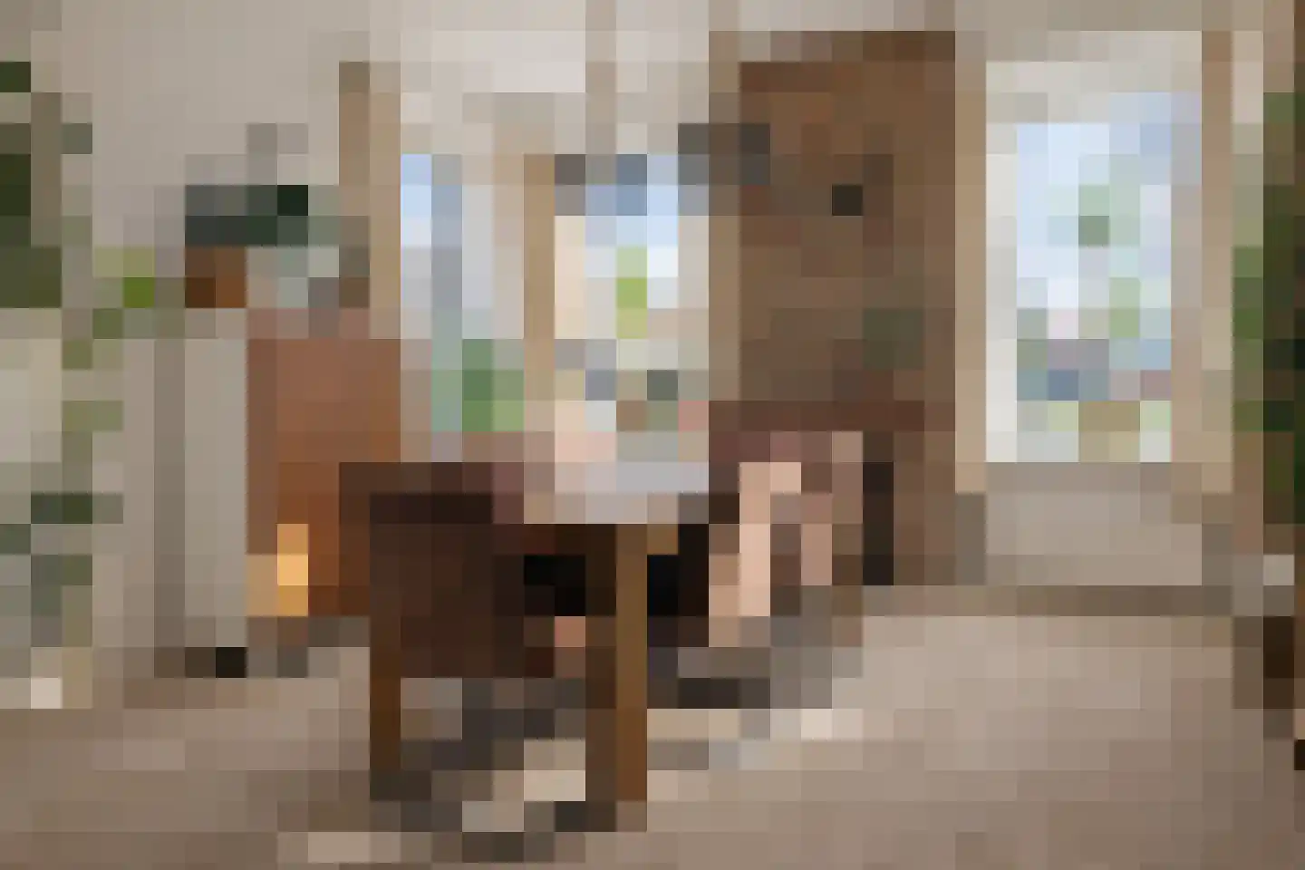 Goldhoorn 5 Oostwold thumbnail 10