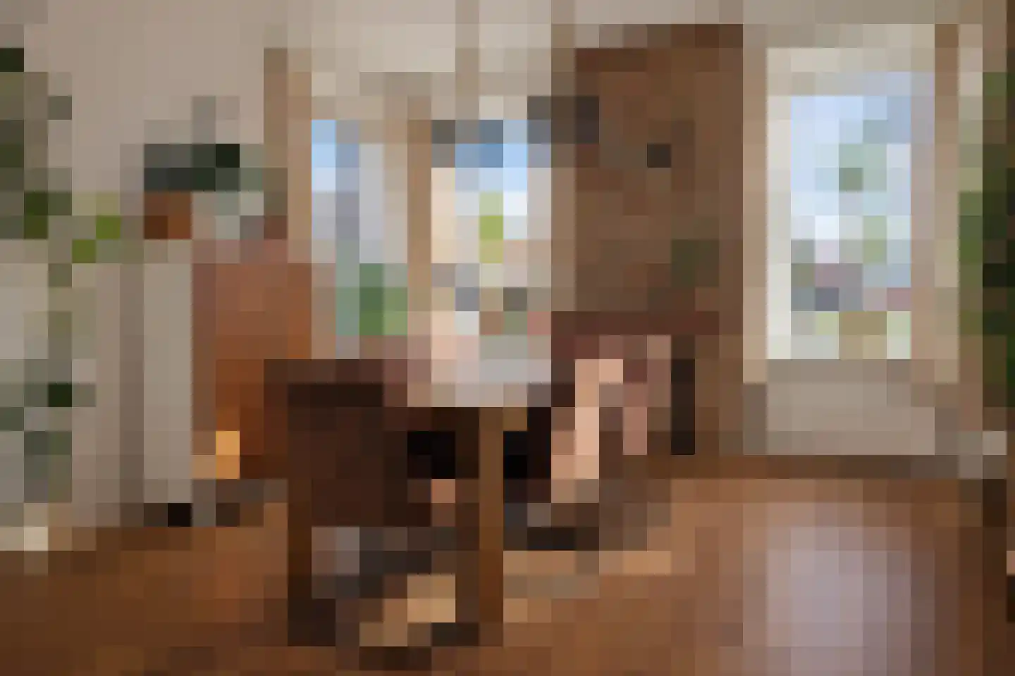 Goldhoorn 5 Oostwold thumbnail 11
