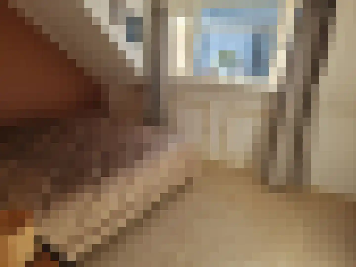 Goldhoorn 5 Oostwold thumbnail 16