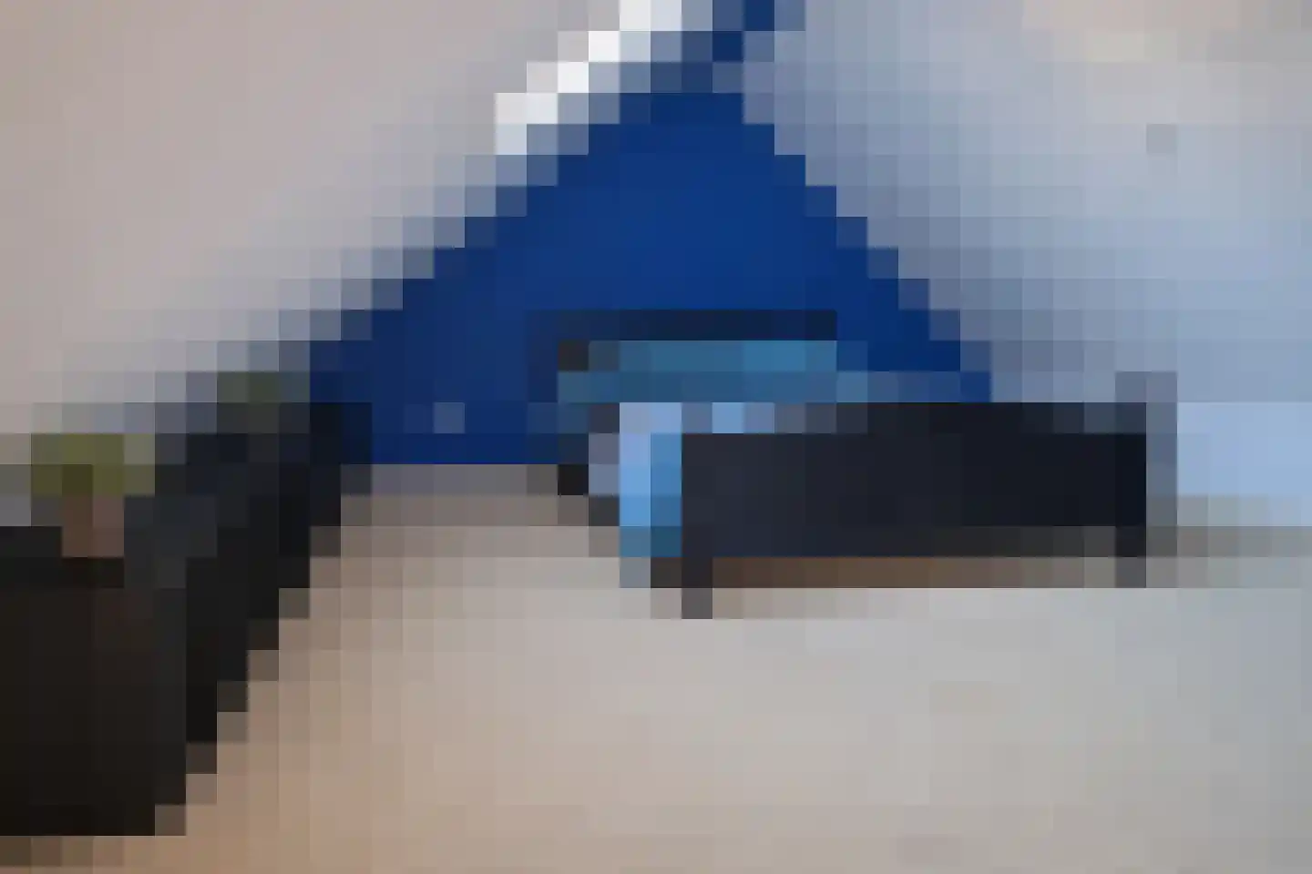 Goldhoorn 5 Oostwold thumbnail 17