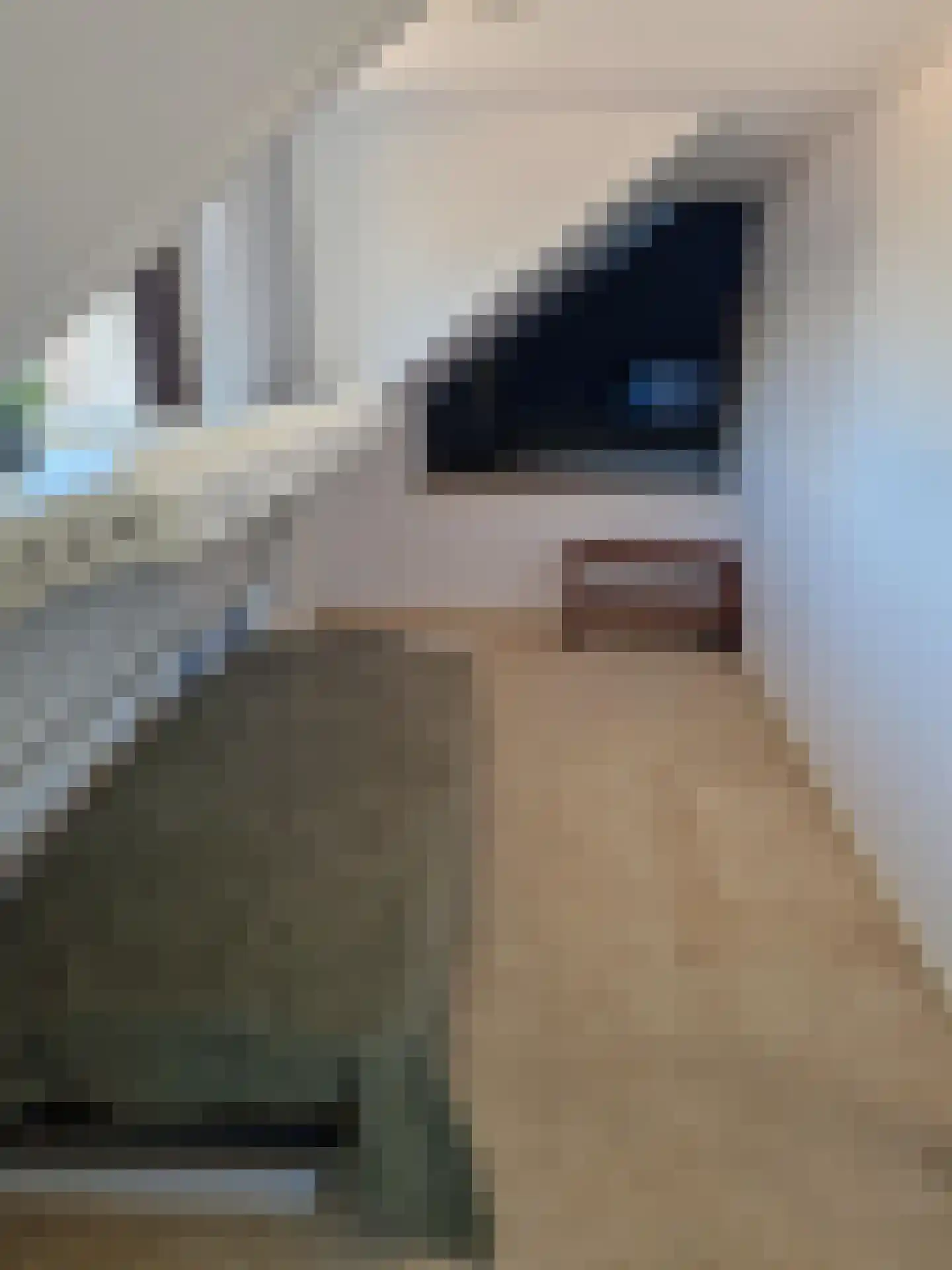 Goldhoorn 5 Oostwold thumbnail 18
