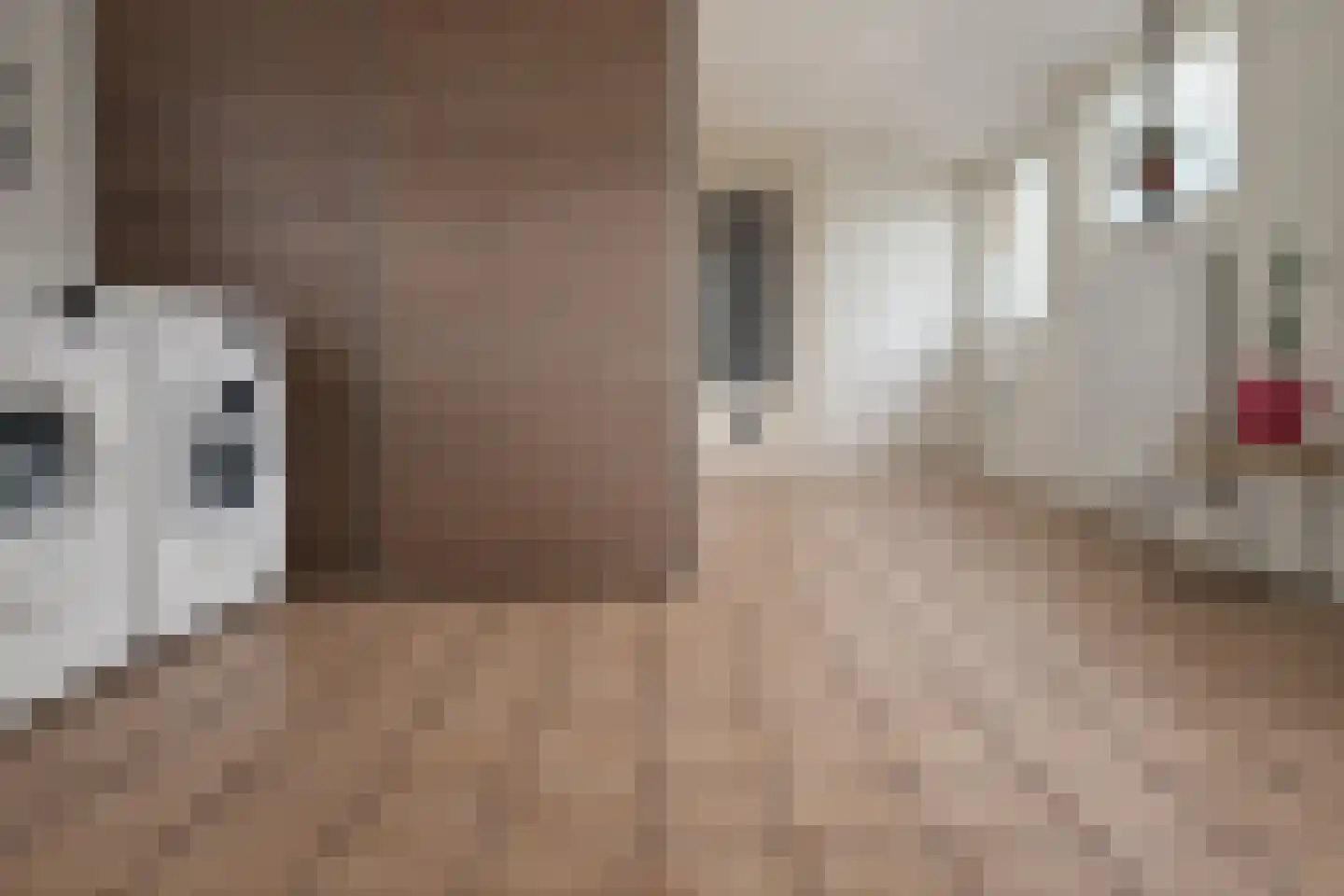 Goldhoorn 5 Oostwold thumbnail 24