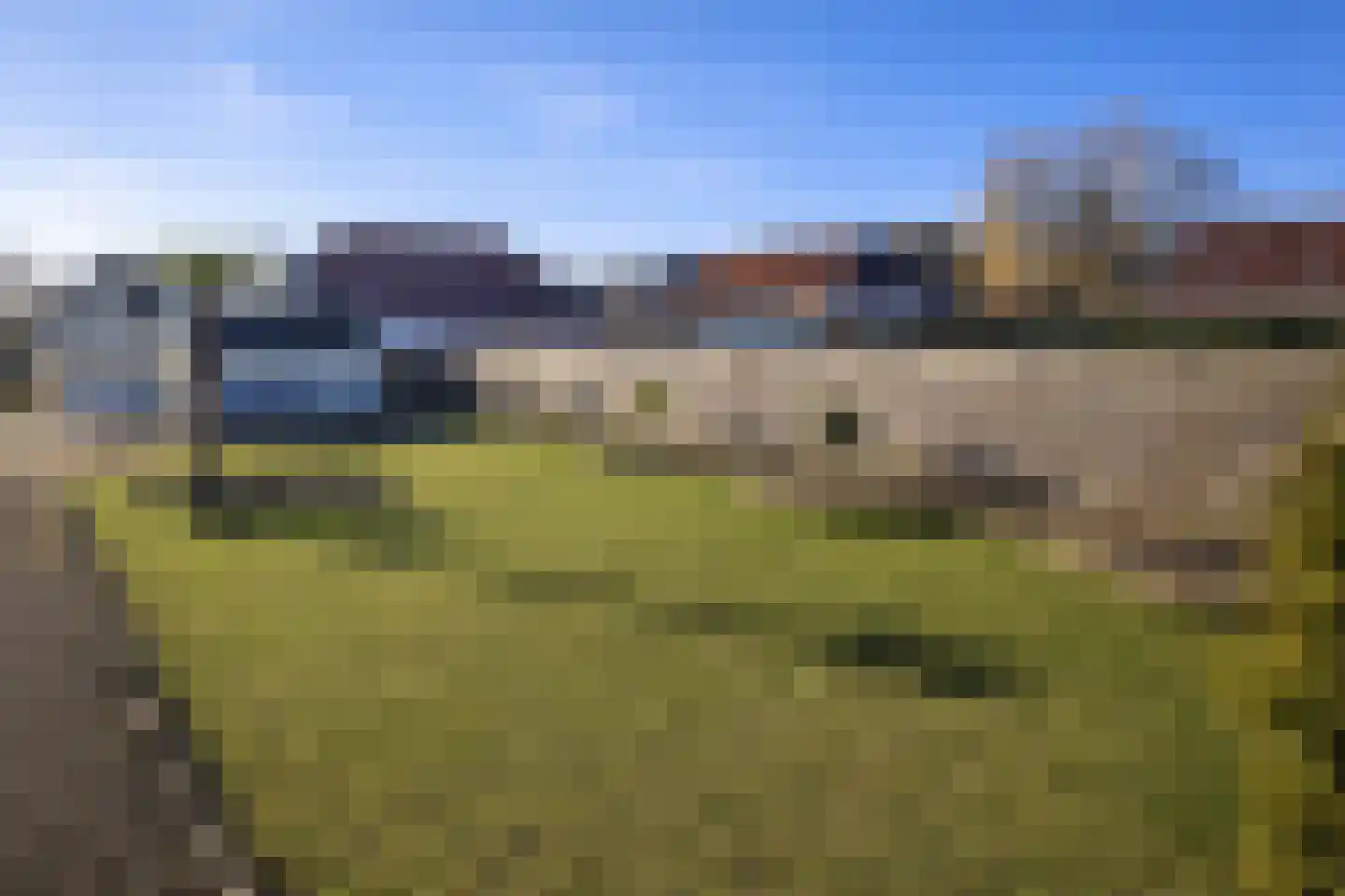 Goldhoorn 5 Oostwold thumbnail 31