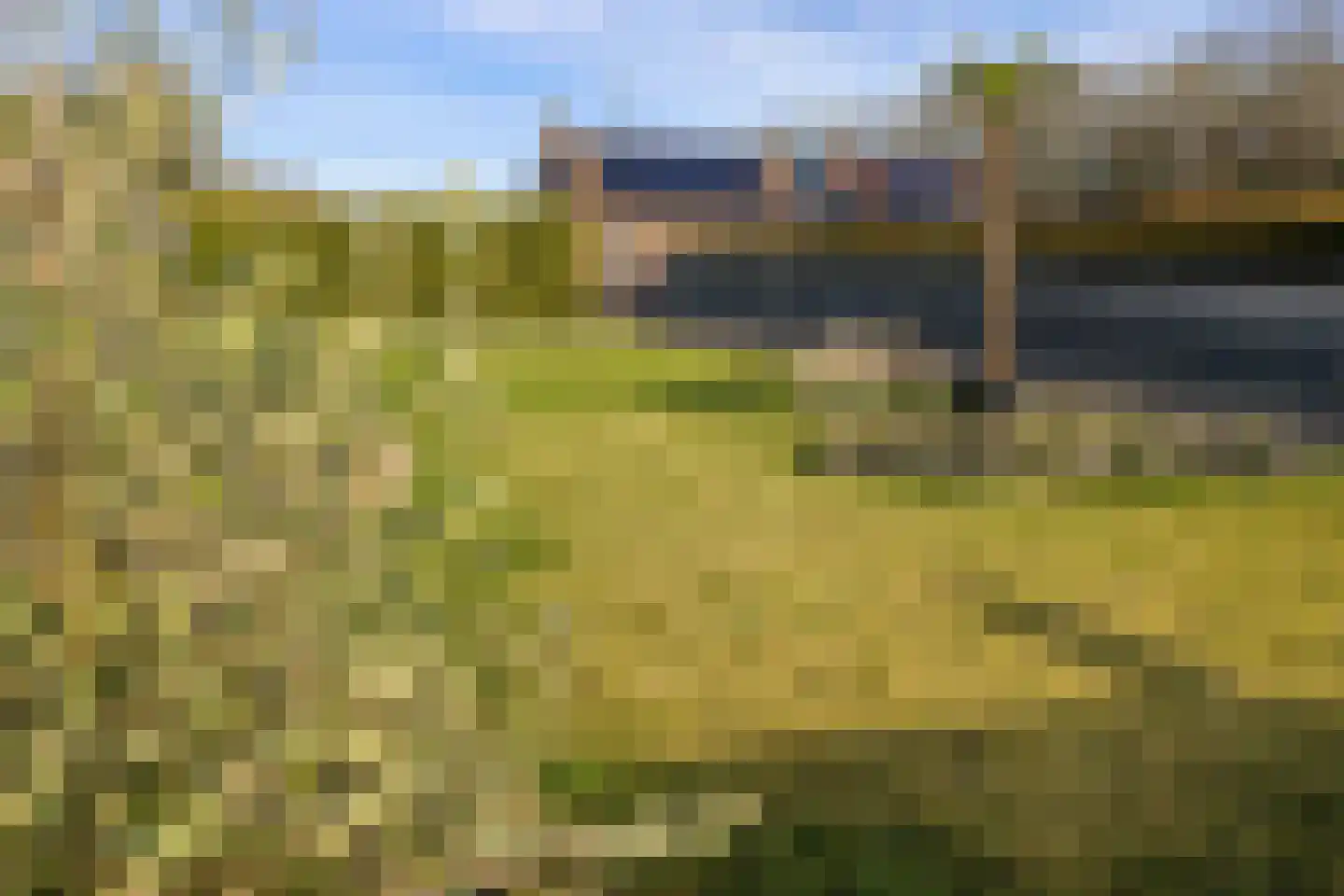 Goldhoorn 5 Oostwold thumbnail 32